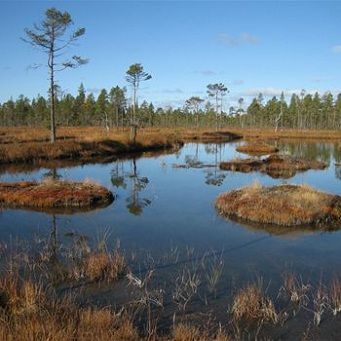 Nya Hamra nationalpark tar in en massa vatten