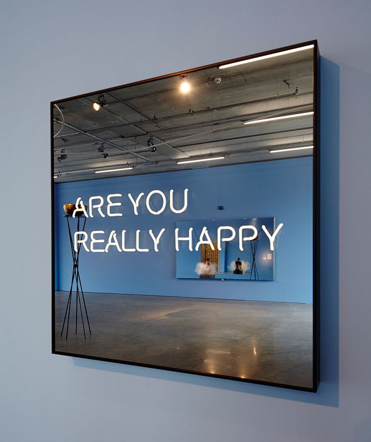 Jeppe Hein, ARE YOU REALLY HAPPY (ÄR DU VERKLIGEN LYCKLIG), 2013