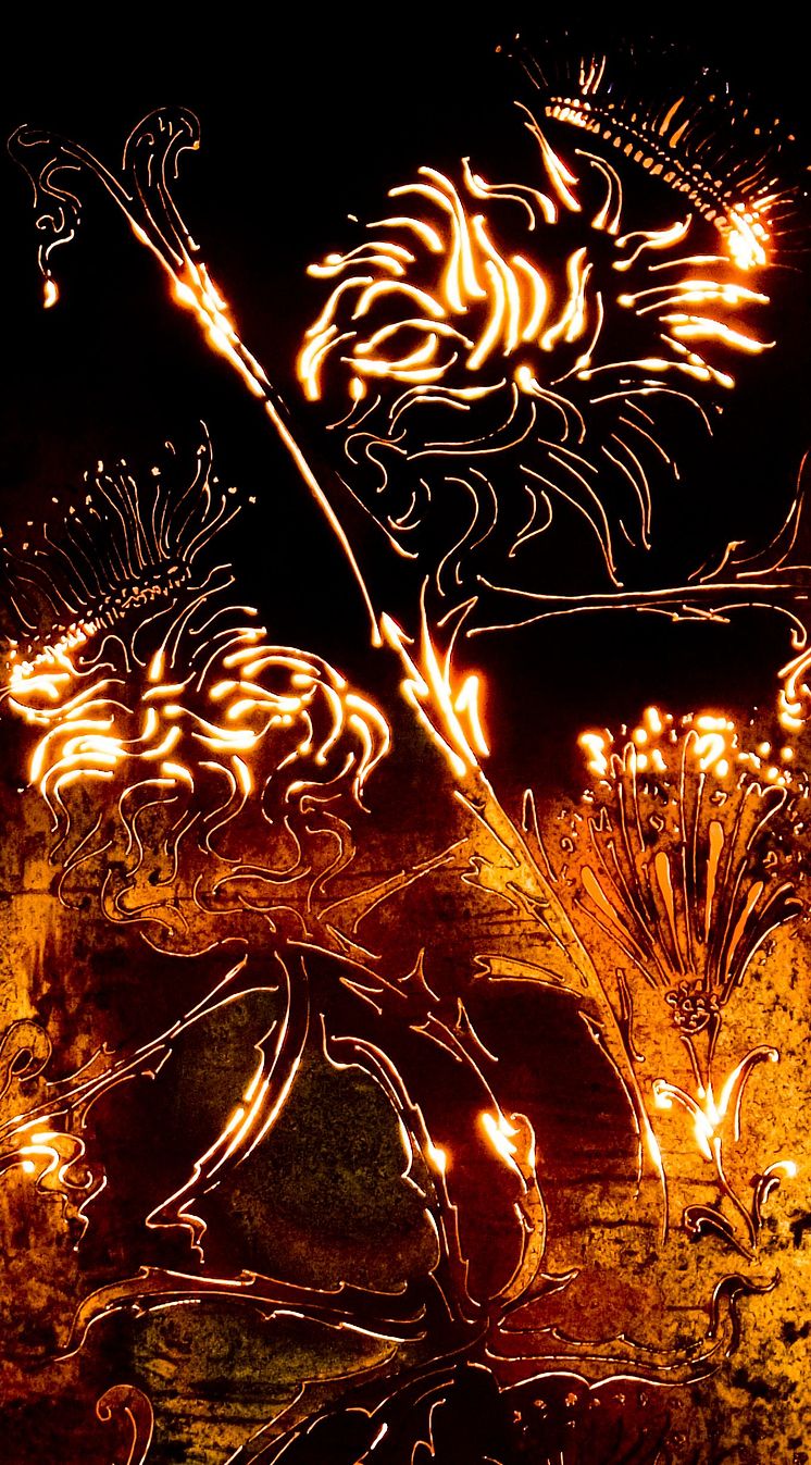 Fire garden at Bury Light Night 2012