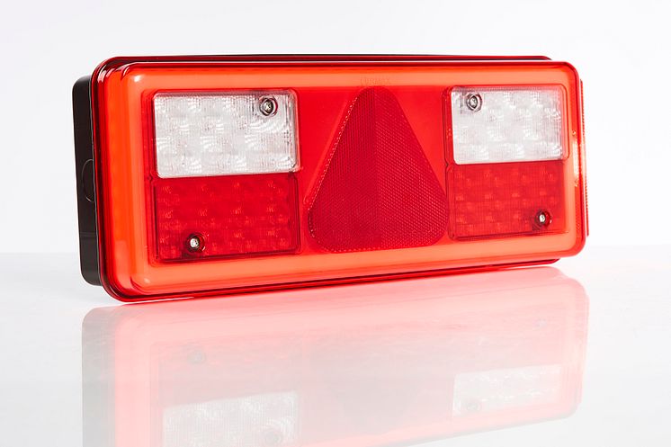 Ermax LED tail lamp