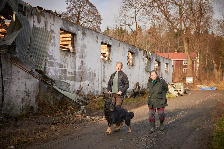 Årets Bragdhund 2024 Spårmarkens Otiz Fotograf Tord Saxin -3.jpg