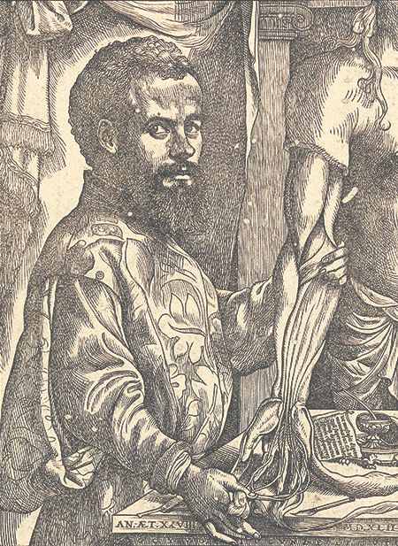 Andreas Vesalius