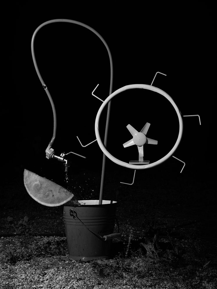 YURIAN QUINTANAS NOBEL_The_Ignorant_Gardener_12 (1).jpg