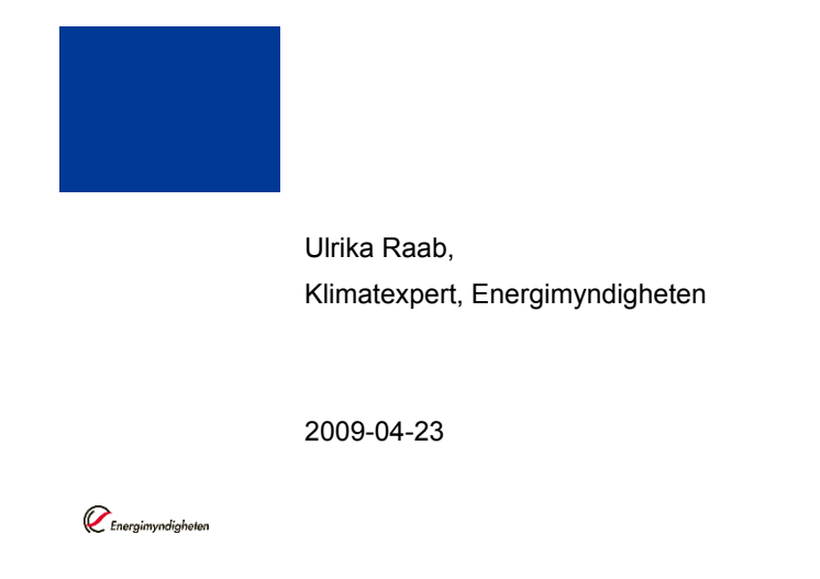 Ulrika Raab, Energimyndigheten