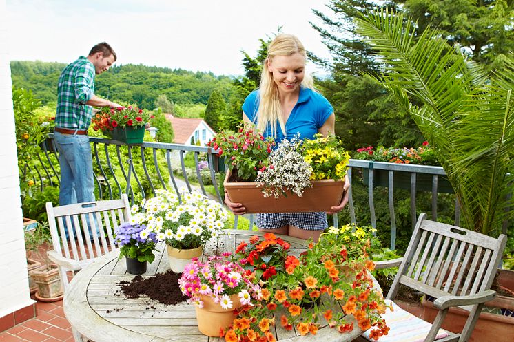 Floragard Balkon.jpg