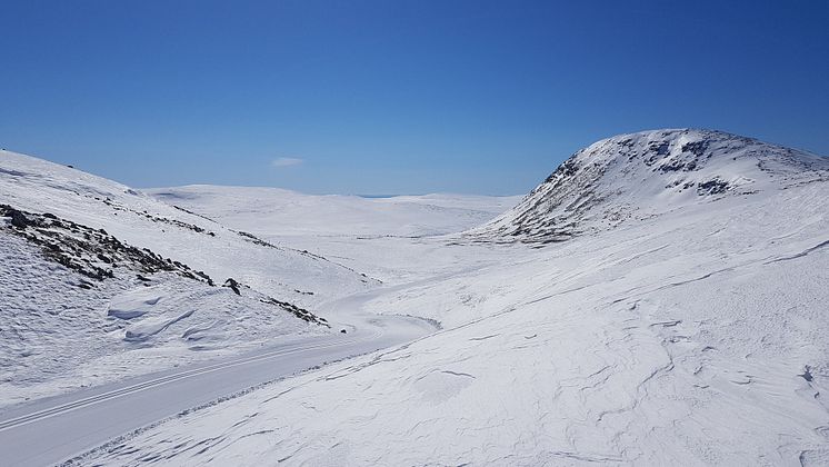 Passet på Södra sidan om Lofssjön.jpg