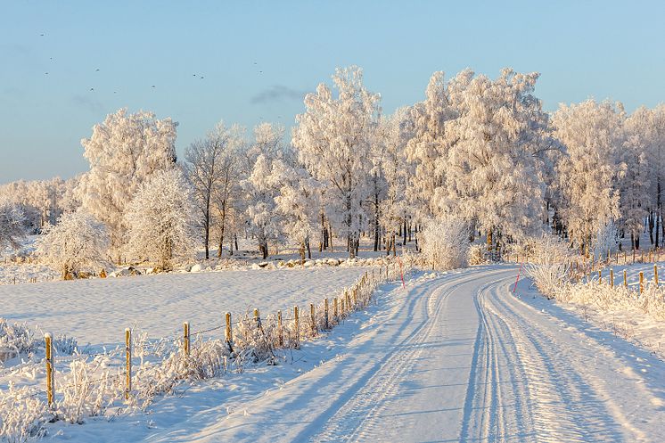 18055259-idylliskt-vinter-landskap