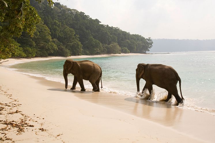 Havelock Island, Indien.