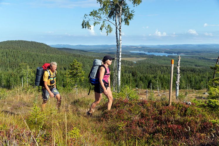 Foto Visit Torsby.jpg