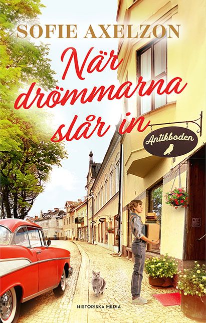 När drömmarna slår in omslag