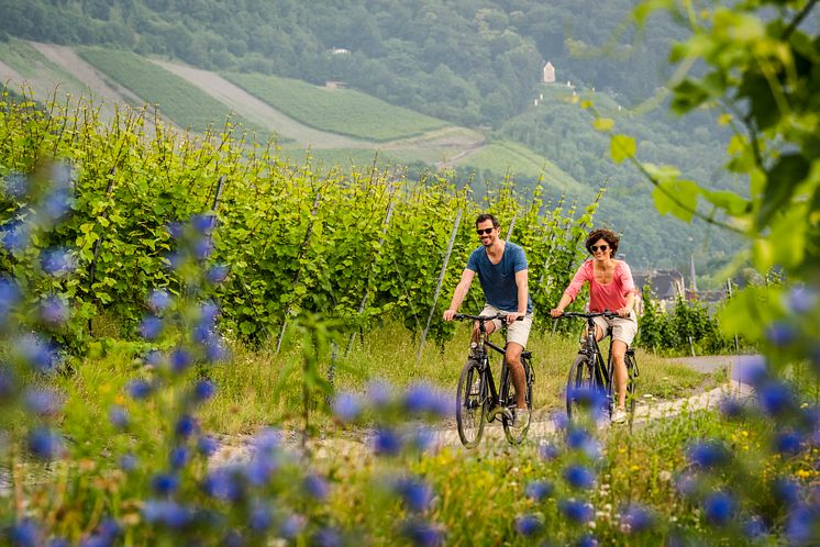 Bernkastel-Kues_Paar_radelt_durch_die_Weinberge_im_Moseltal