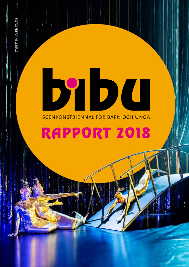 Rapport bibu 2018 