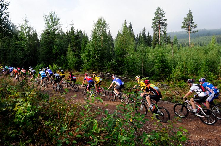 Vasaloppet – världens största arrangör av motionslopp året runt 2010