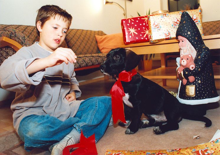 Tiere gehören nicht unter den Weihnachtsbaum