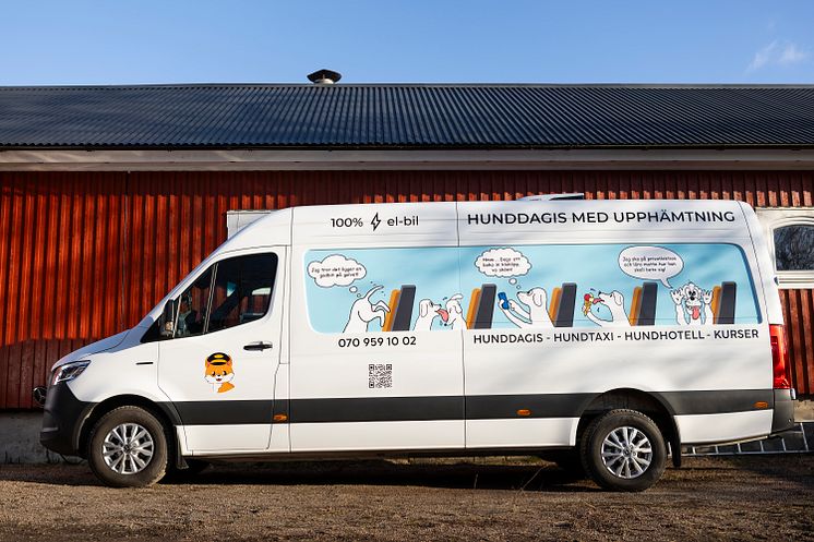 eSprinter Hundtaxi
