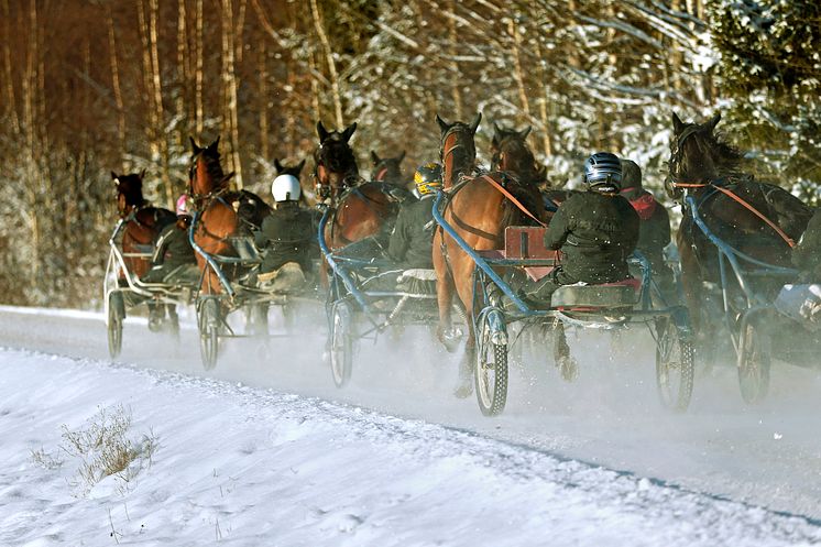 Vinterträning hos Timo Nurmos_1086