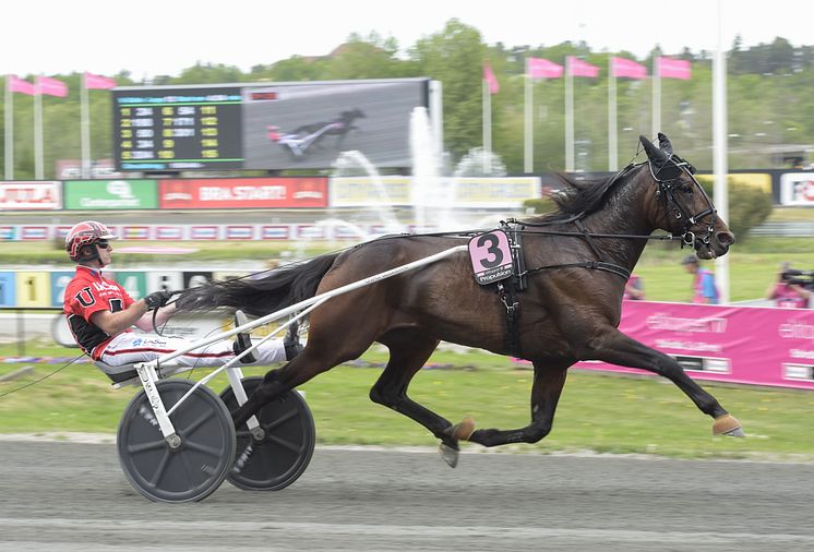 Propulsion inför Elitloppet 2017