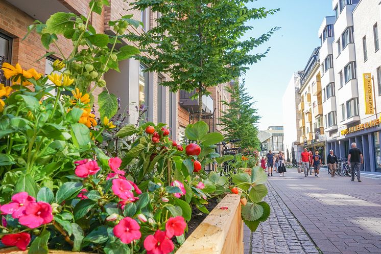 PflanzaktionSchloßstraße0822 (7 von 22)