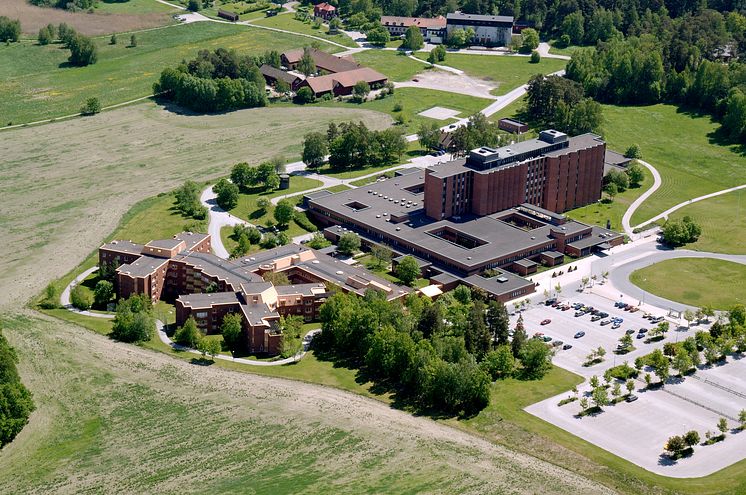 Löwenströmska sjukhuset