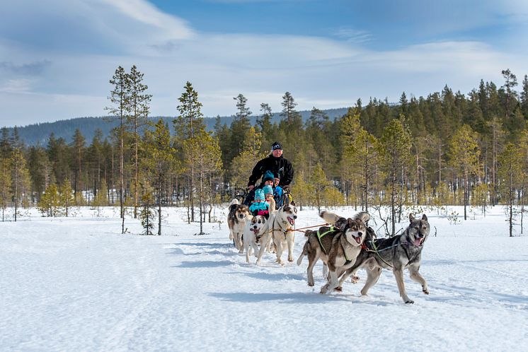 Stöten i Sälen Hundspann_7503738 kopiera