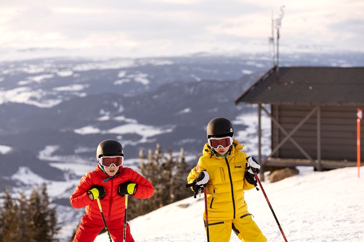 Mini masterclasses in alpine skiing in Norway - online