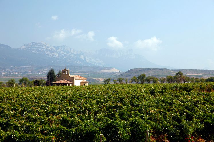 "Dinastía Vivanco" vinmarker i Briones, La Rioja