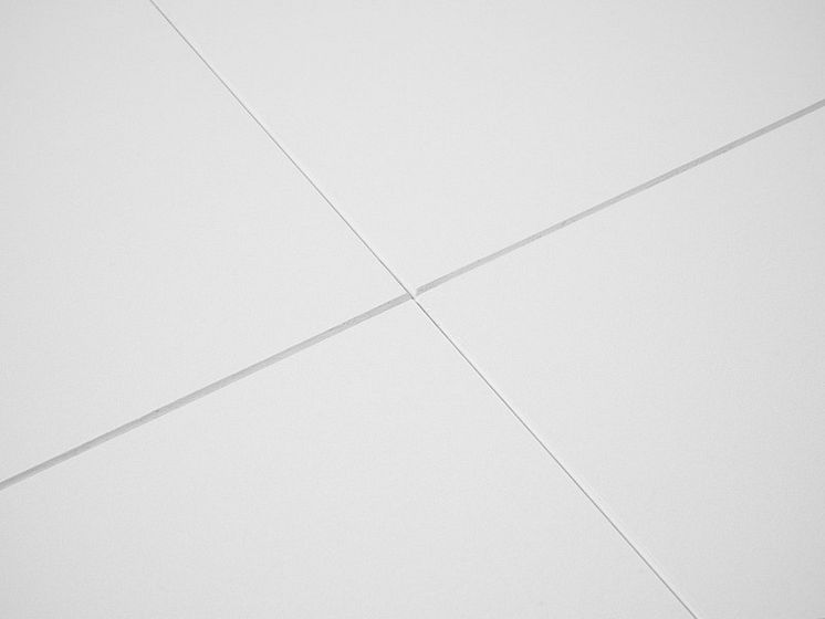 20240212 RW-RF PHO 10126.jpg