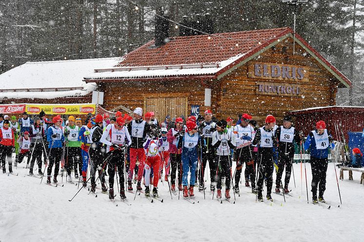 Blåbärsloppet 2017