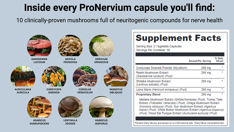 Ingredients in the composition of ProNervium supplement