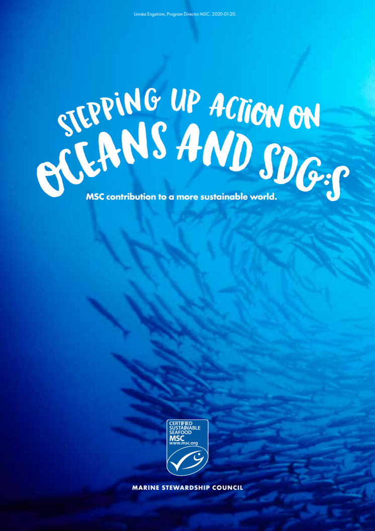 Stepping up actions on Oceans and SDG:s