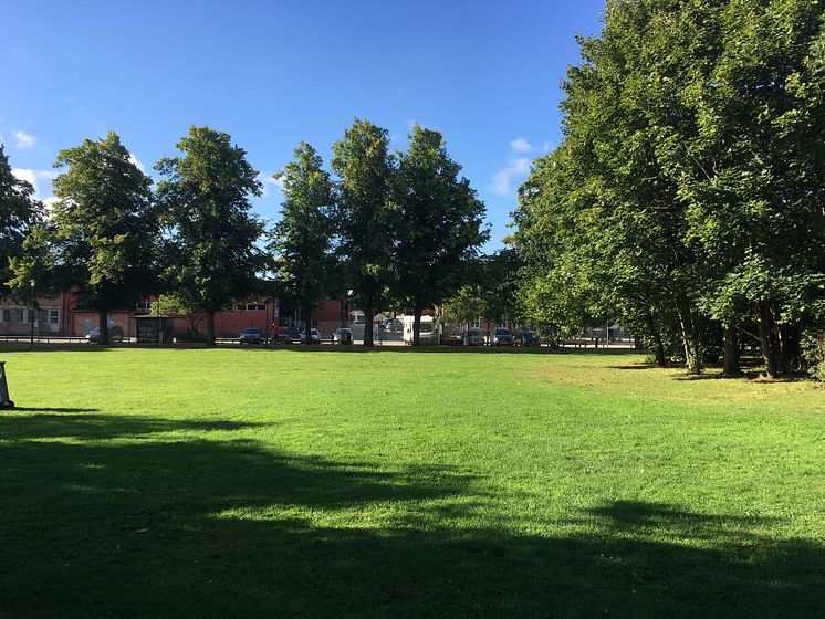 Vy över parken Enskifteshagen