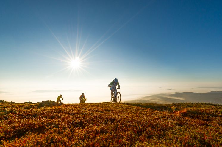 Stisykling i Trysil