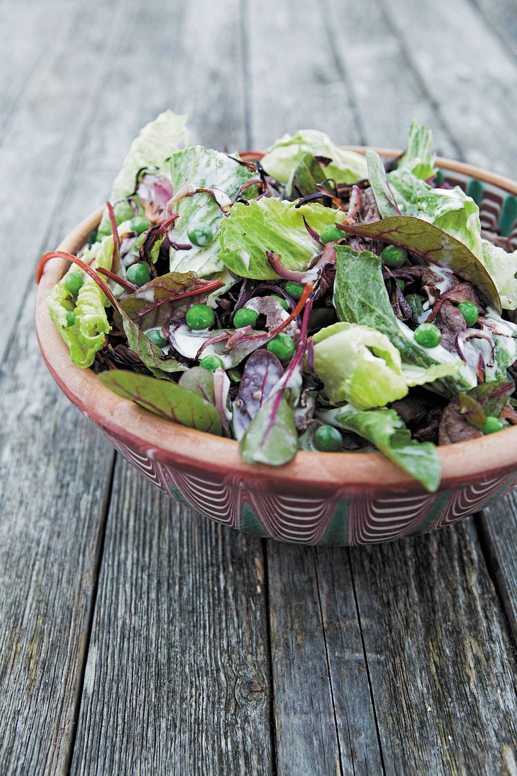 Grøn salat.jpg