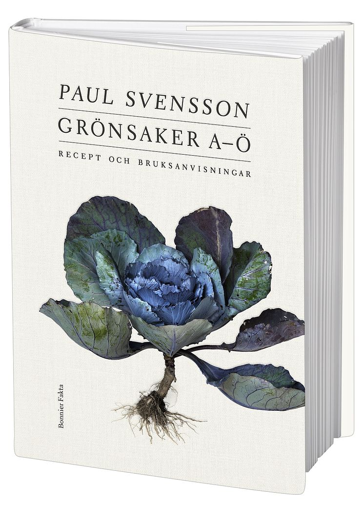 Bokomslag_Paul-Svensson_3D.jpeg