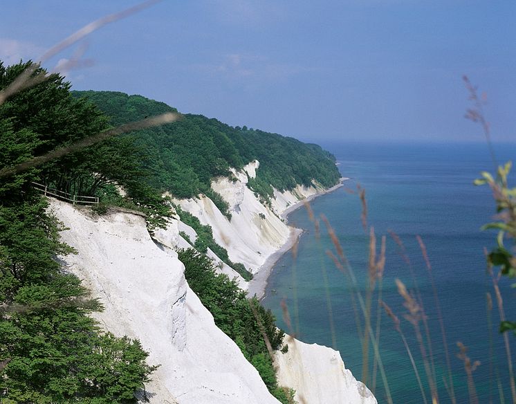 Møns Klint