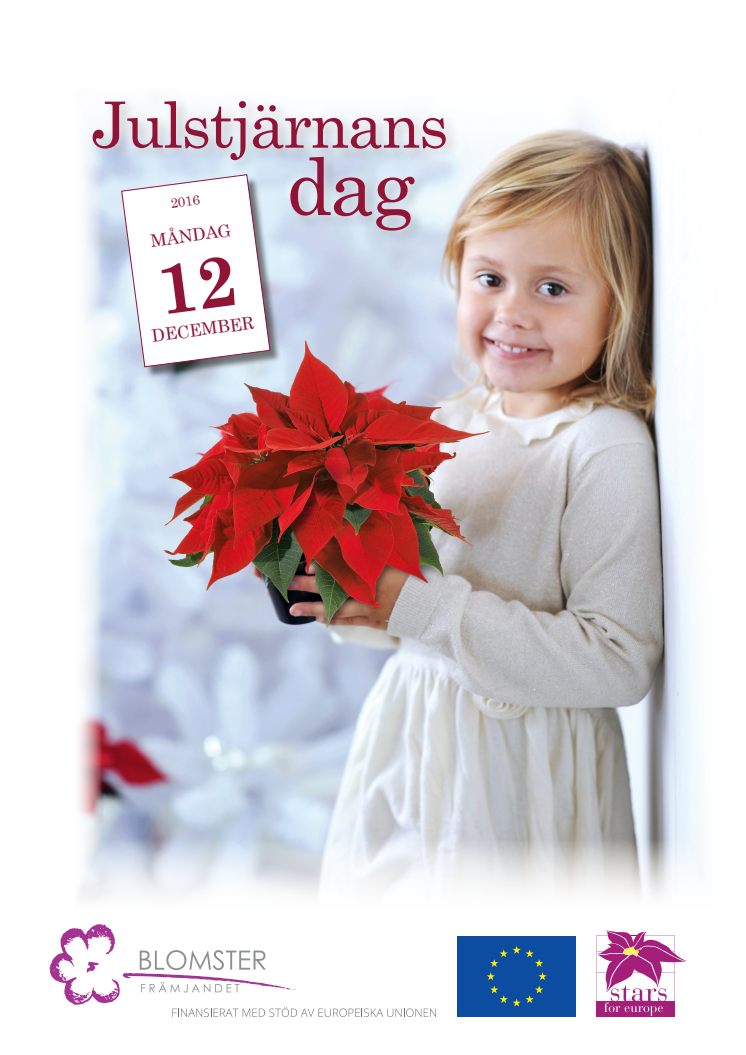 Julstjärneposter inför julstjärnans dag för egen utskrift