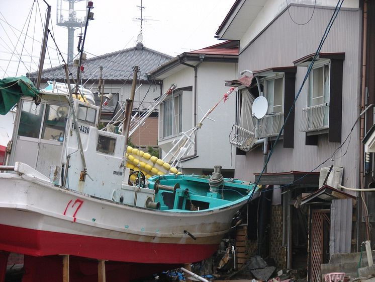 Soma i slutet av maj 2011 - bild hämtad ur boken Fukushimas färger av Elin Lindqvist