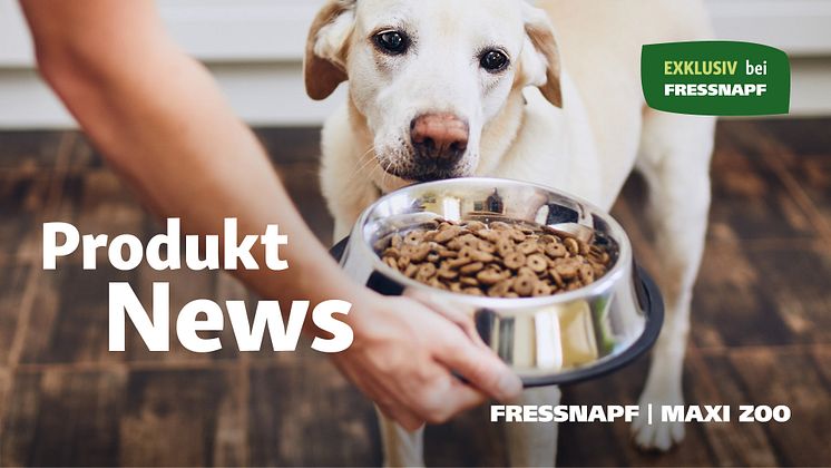 FN_header_1920x1080_pressemitteilungen-produktnews_Hund_KQ