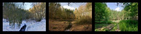 Fascinerende billeder fra dansk naturperle