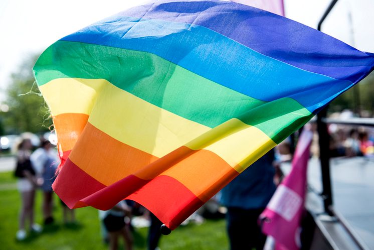 Regnbågsflagga på festivalen Queer up
