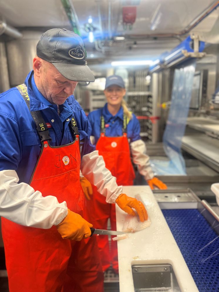 Showcase of fileting of Norwegian haddock by members of the Østerfjord crew.jpg