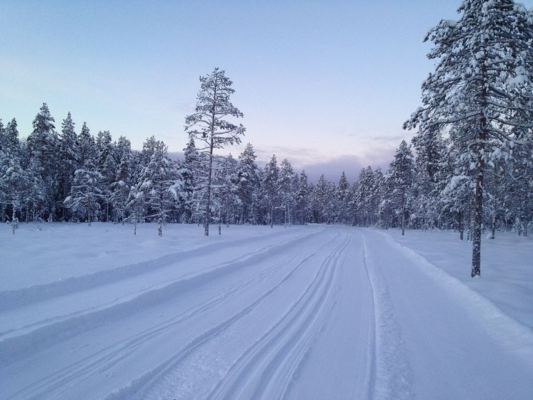 Vasaloppsspåret 15 januari 2016