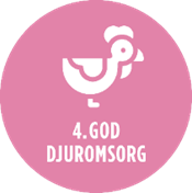 4.goddjuromsorg