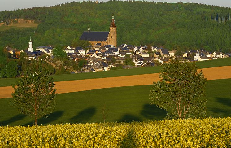 Bergstadt Schneeberg mit Blick auf Kirche St. Wolfgang