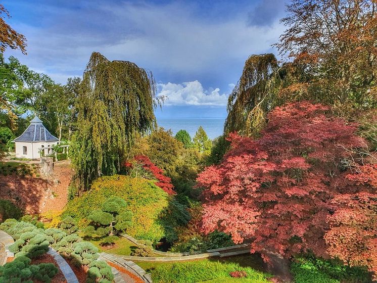 Japanska trädgården