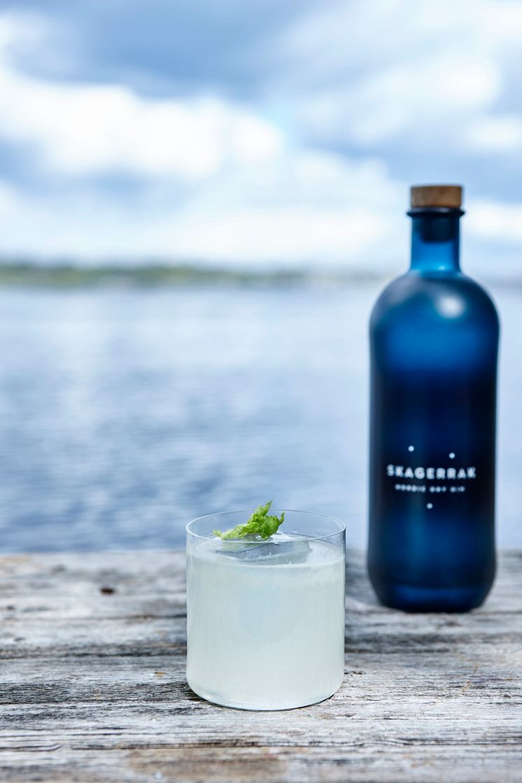 SKAGERAKK_GIN_11-scaled.jpg