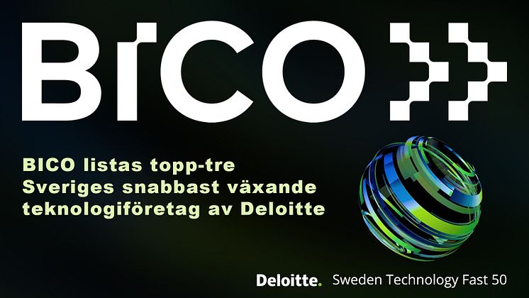 BICO Deloitte omslag.jpg