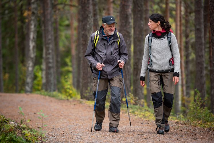 Vandring längs niporna