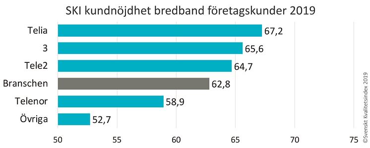 SKI bredband B2B 2019