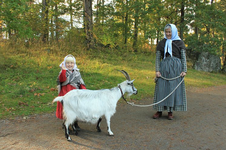 Höstfest, Vallby friluftsmuseum